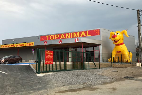 Mega Top Animal Yellow Dog Mascot Order. Buy blow-up promotionals online at JB Inflatables America
