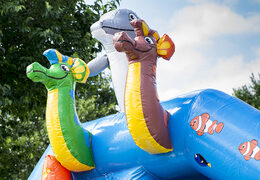 Order slide combo inflatable bouncy castles in seaworld theme for kids. Inflatable bouncy castle now for sale at JB Inflatables America