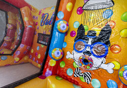 Order inflatable IPS game Ninja Party at JB Inflatables