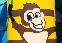 Buy a standard jungle bouncers in striking colors with a large 3D object in the shape of a gorilla on the top for children. Order bouncers online at JB Inflatables America