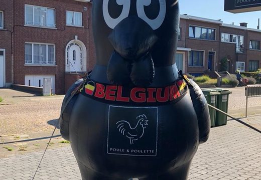 Buy large inflatable Poule and Poulette black chicken mascots. Get your blow up advertising online now at JB Inflatables America