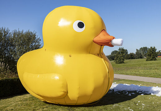 Bubble Special Duck