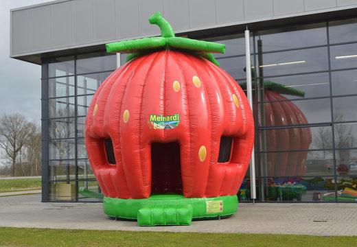 Custom Meinardi Strawberry bounce houses in different models for sale, ideal for various events. Order custom bounce houses at JB Promotions America