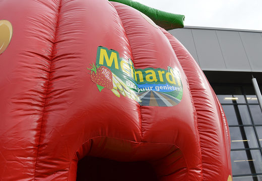 Order now promotional Meinardi Strawberry bounce houses in different models at JB Promotions America. Custom inflatable advertising bouncers in various shapes and sizes for sale