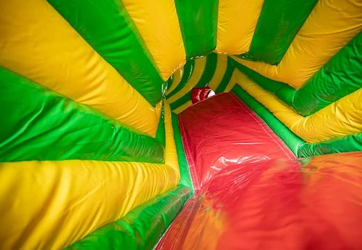 Order a crawling tunnel lion bounce house with obstacles, a climbing slope and sliding slope for kids. Buy bounce houses online at JB Inflatables America 