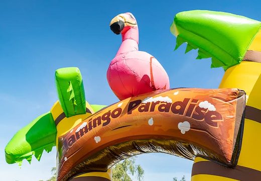 Groot opblaasbaar open bubble boarding park springkussen met schuim kopen in thema tropisch caribbean flamingo voor kids
