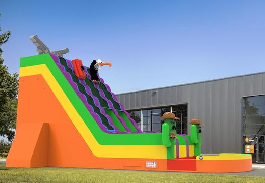 Buy an inflatable waterslide D22 in Texas theme for various occasions. Order wholesale inflatable waterslides online at JB Inflatables America