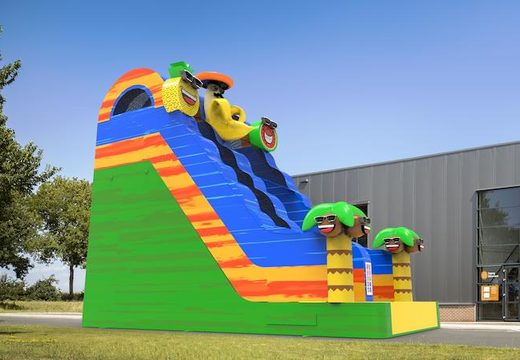 Unique inflatable dryslide S18 in theme caribbean for both young and old for sale. Buy inflatable reclame dryslides online at JB Inflatables America