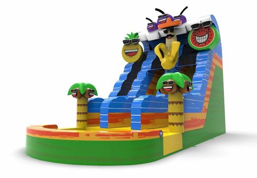 Order an inflatable waterslide D18 in caribbean theme for both young and old. Inflatable commercial waterslides online for sale at JB Inflatables America