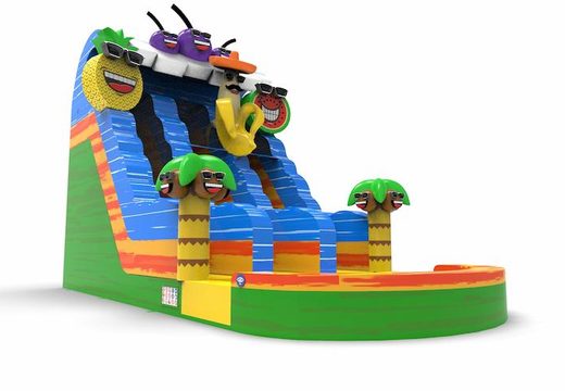 An inflatable waterslide D18 in theme caribbean for both young and old for sale. Order inflatable waterslides online at JB Inflatables America