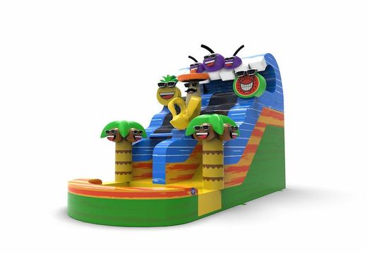An inflatable waterslide S12 in theme caribbean for both young and old for sale. Order inflatable waterslides online at JB Inflatables America