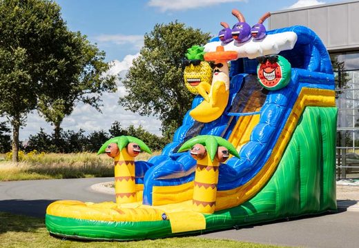 Order colorful inflatable water slide for children in caribbean theme