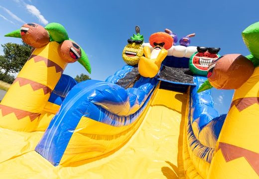 Buy inflatable colorful caribbean water slide for kids