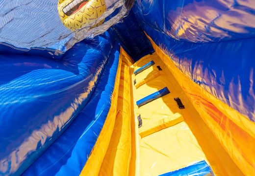 Order an inflatable colorful caribbean water slide for kids