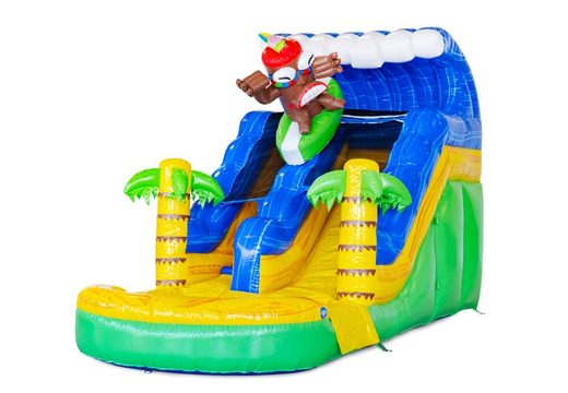 Inflatable Water Slide For Sale