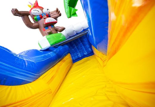Buy Hawaii Themed Inflatable Water Slide S12