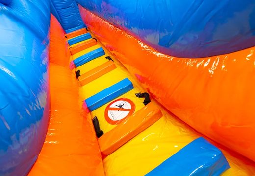 Inflatable water slide D18 Hawaii with tropical theme for sale