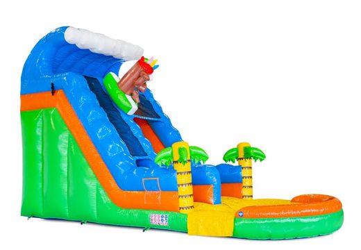 Inflatable water slide Waterslide S18 for sale