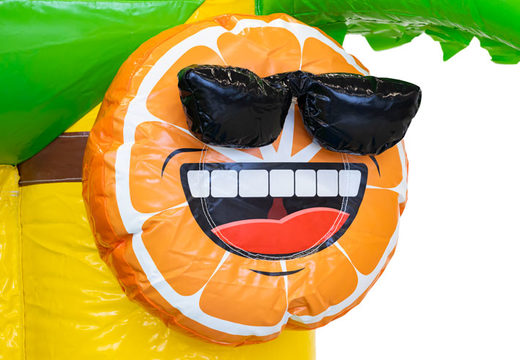 Buy large inflatable bouncy castle in Flamingo theme for children. Order inflatables online at JB Inflatables America
