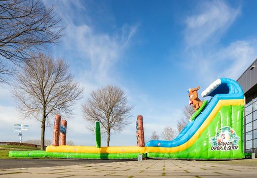 Order Drop and Slide in theme Hawaii for kids. Buy waterslides now online at JB Inflatables America