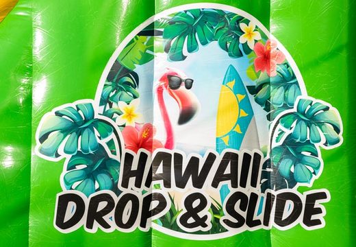 Buy Drop and Slide in theme Hawaii for kids. Order waterslides now online at JB Inflatables America