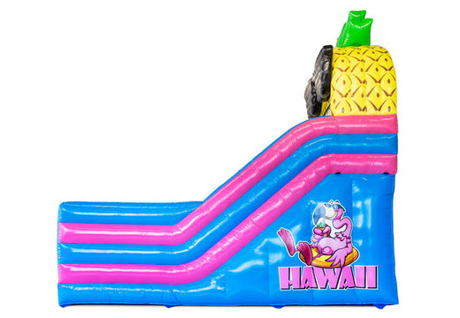 Order bouncy castle with slide in Hawaii theme at JB Inflatables